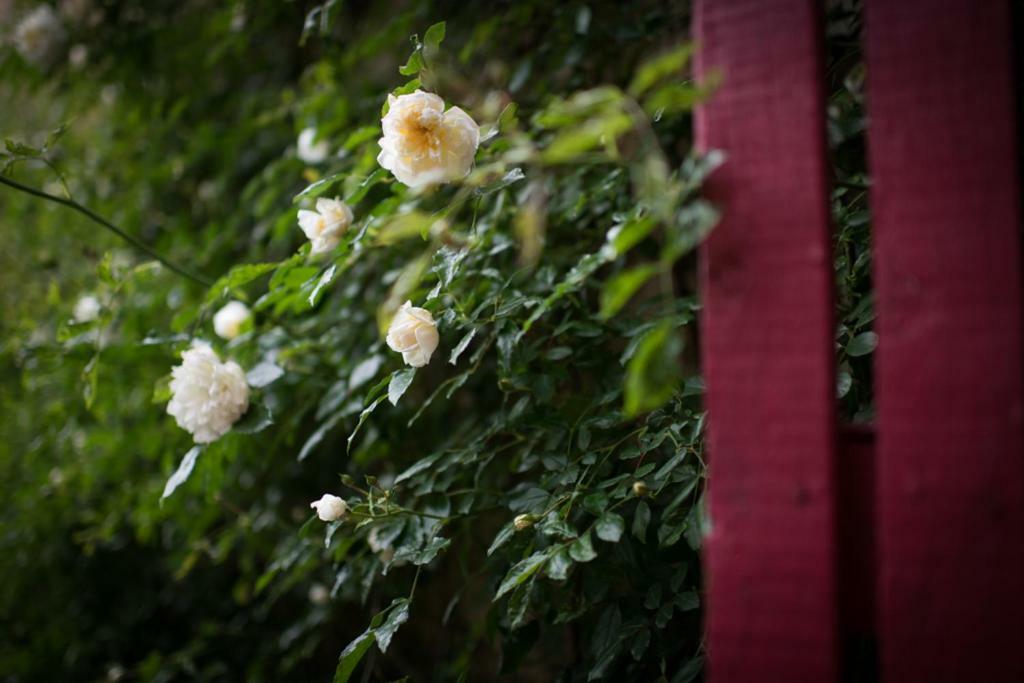 La Canonica Di Nusenna Gaiole in Chianti Ngoại thất bức ảnh